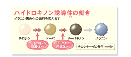 シミトリー