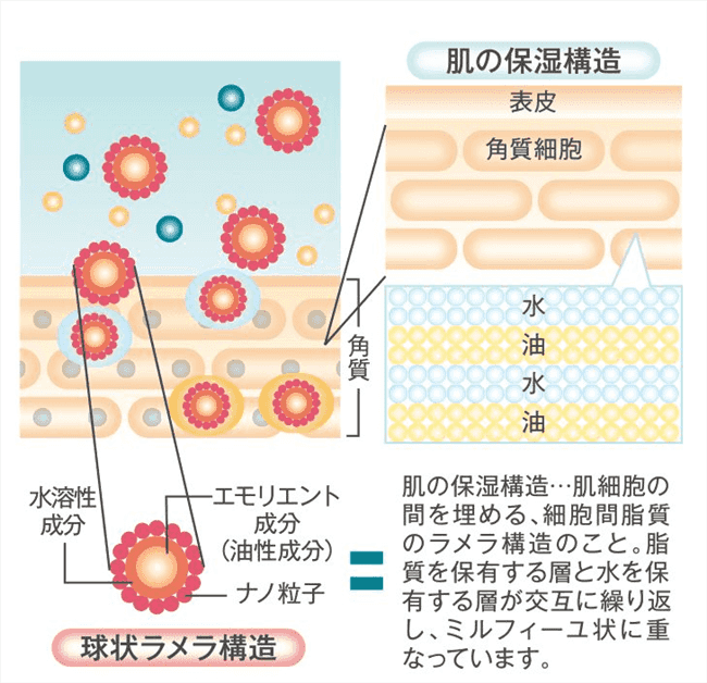 シズカゲル